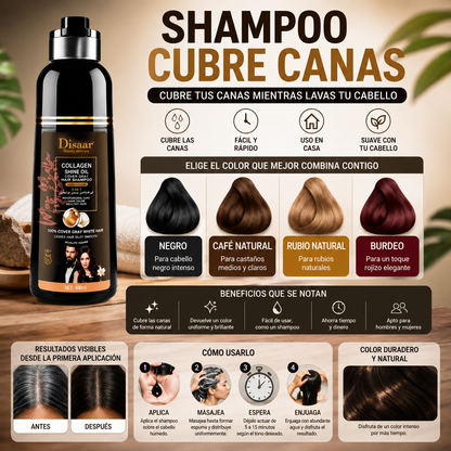 Shampoo Pinta Canas Dissar